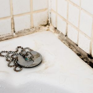 How to Prevent Bathroom Mold